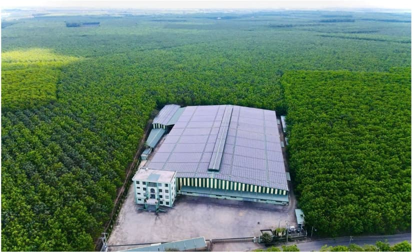 ĐNLMT CTY GIA NGHĨA